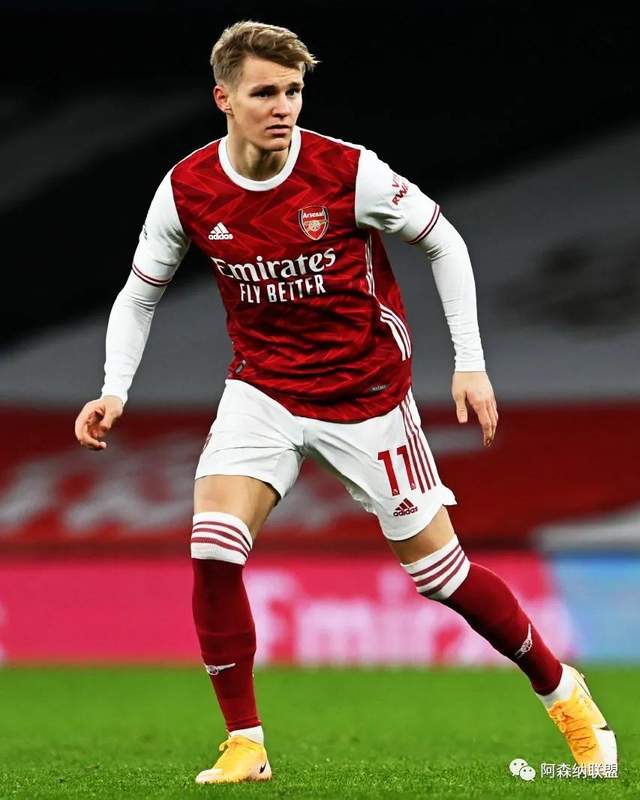 见与司法鉴 见与司法鉴